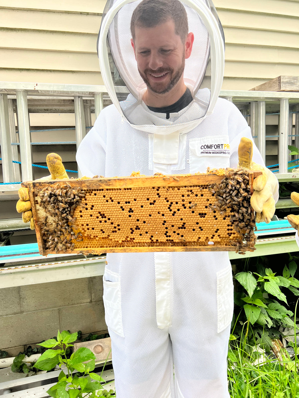 Breakfast With The Bees