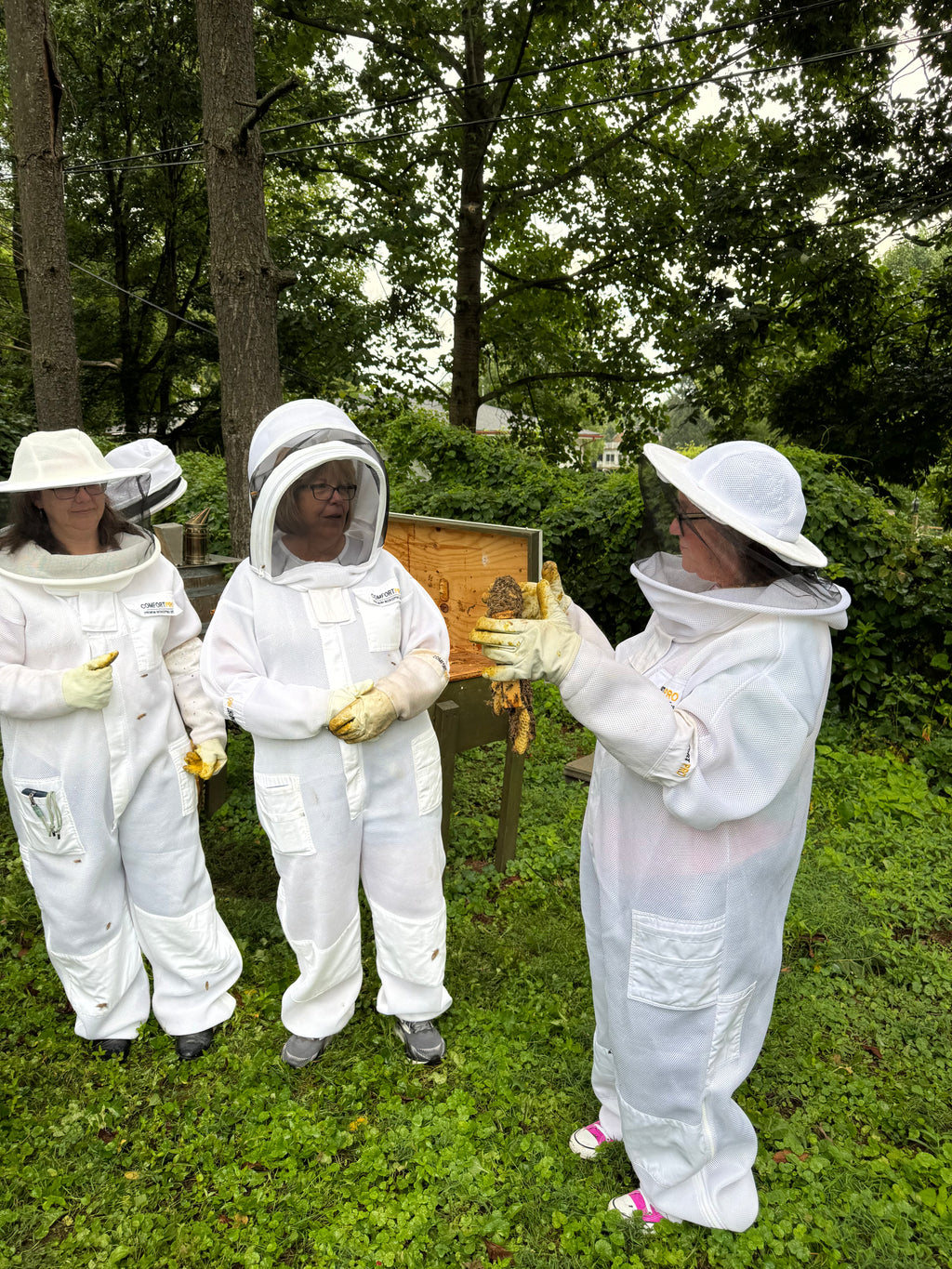 Breakfast With The Bees