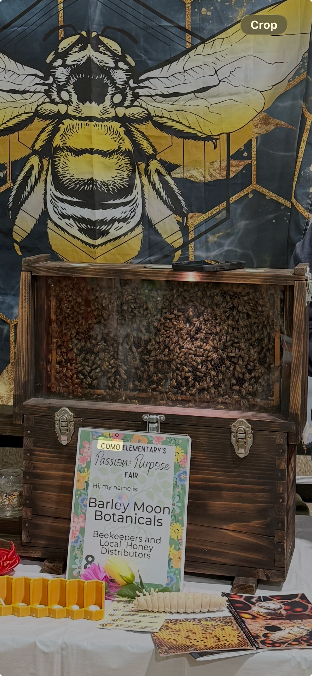 Bee Brave Experience