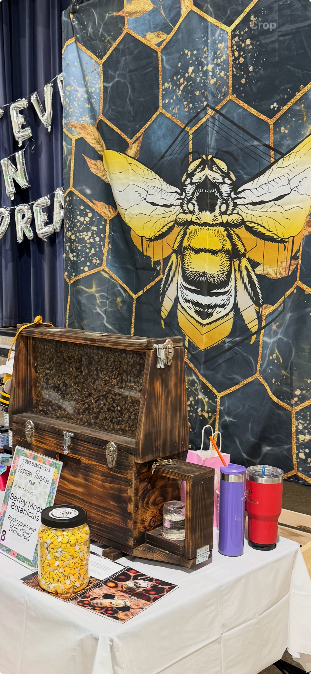 Bee Brave Experience