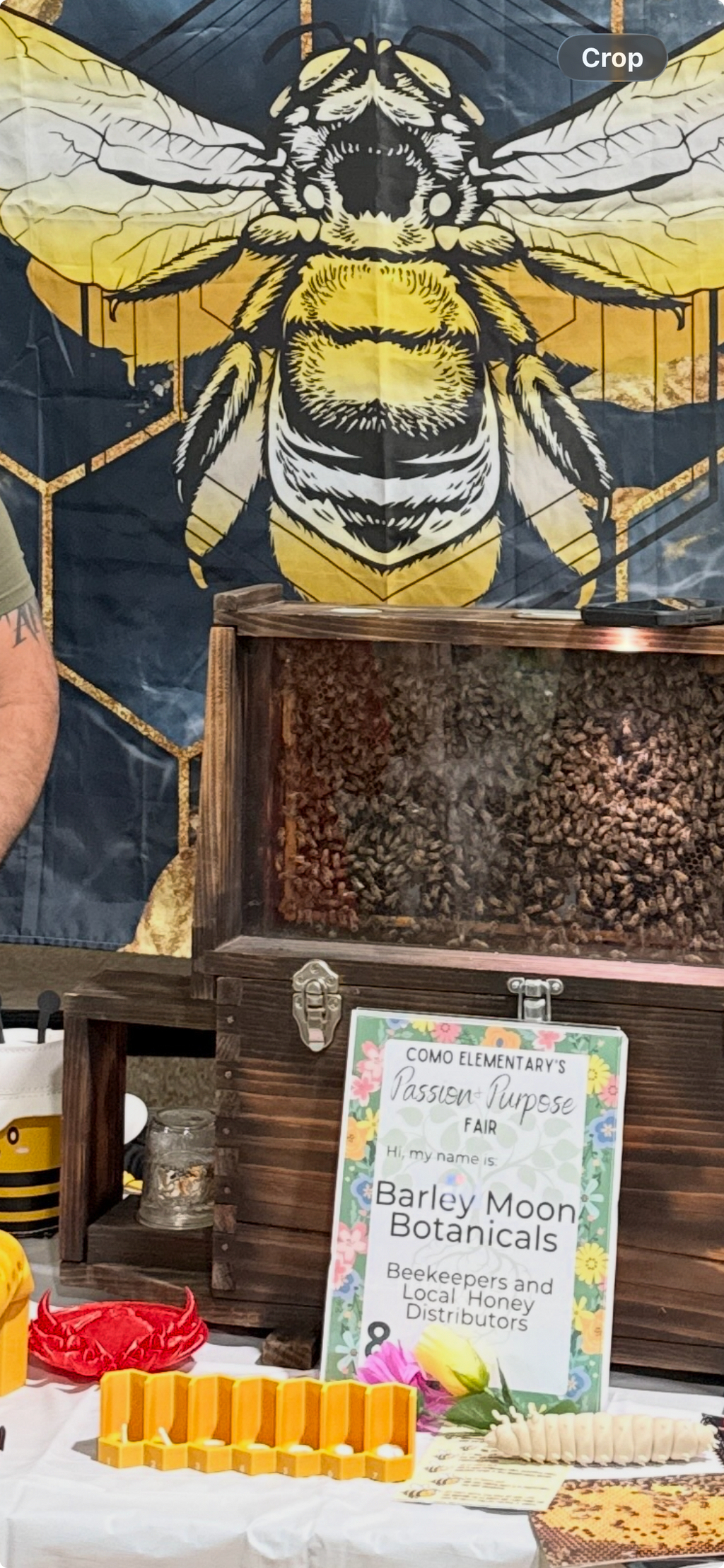 Bee Brave Experience