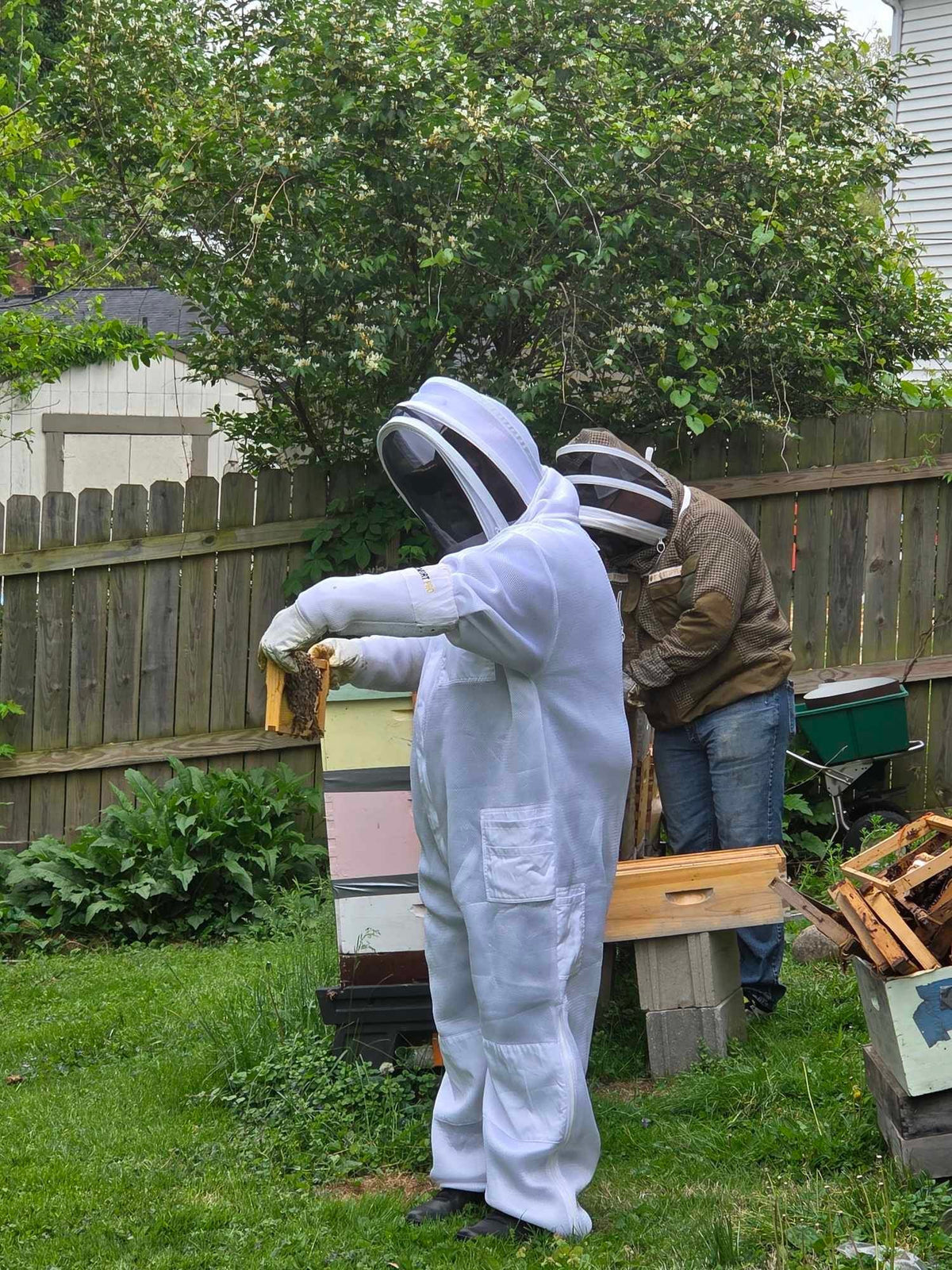 Barley Moon Botanicals therapeutic hive experience with beekeepers in protective white suits tending to honey bees