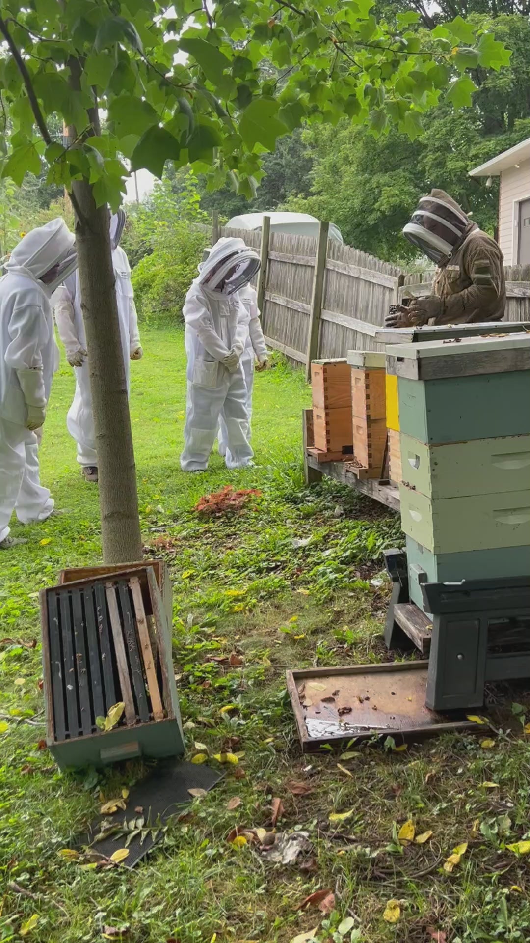 Breakfast With The Bees